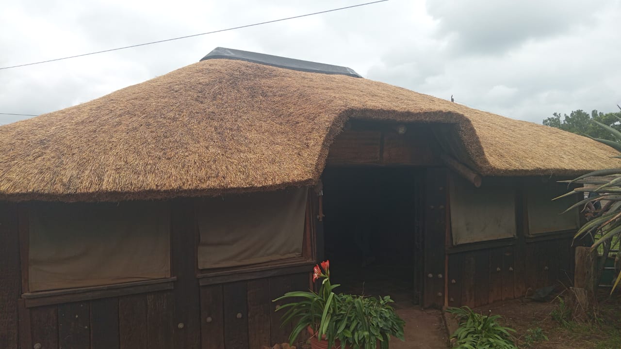 After Thatch