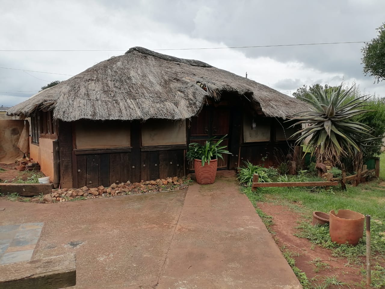 Before Thatch
