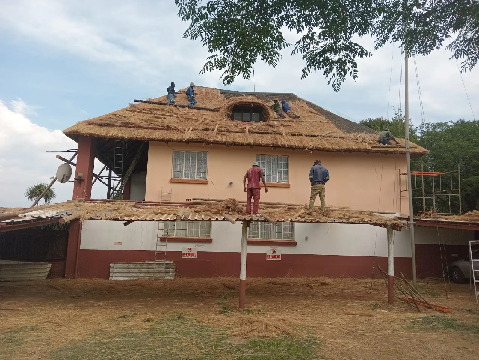 Before Thatch